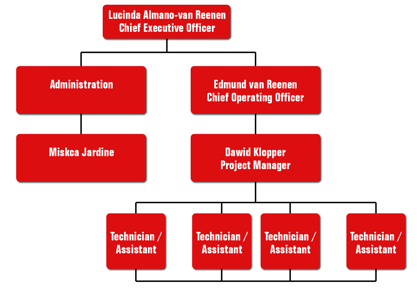 LB Technologies Organogram